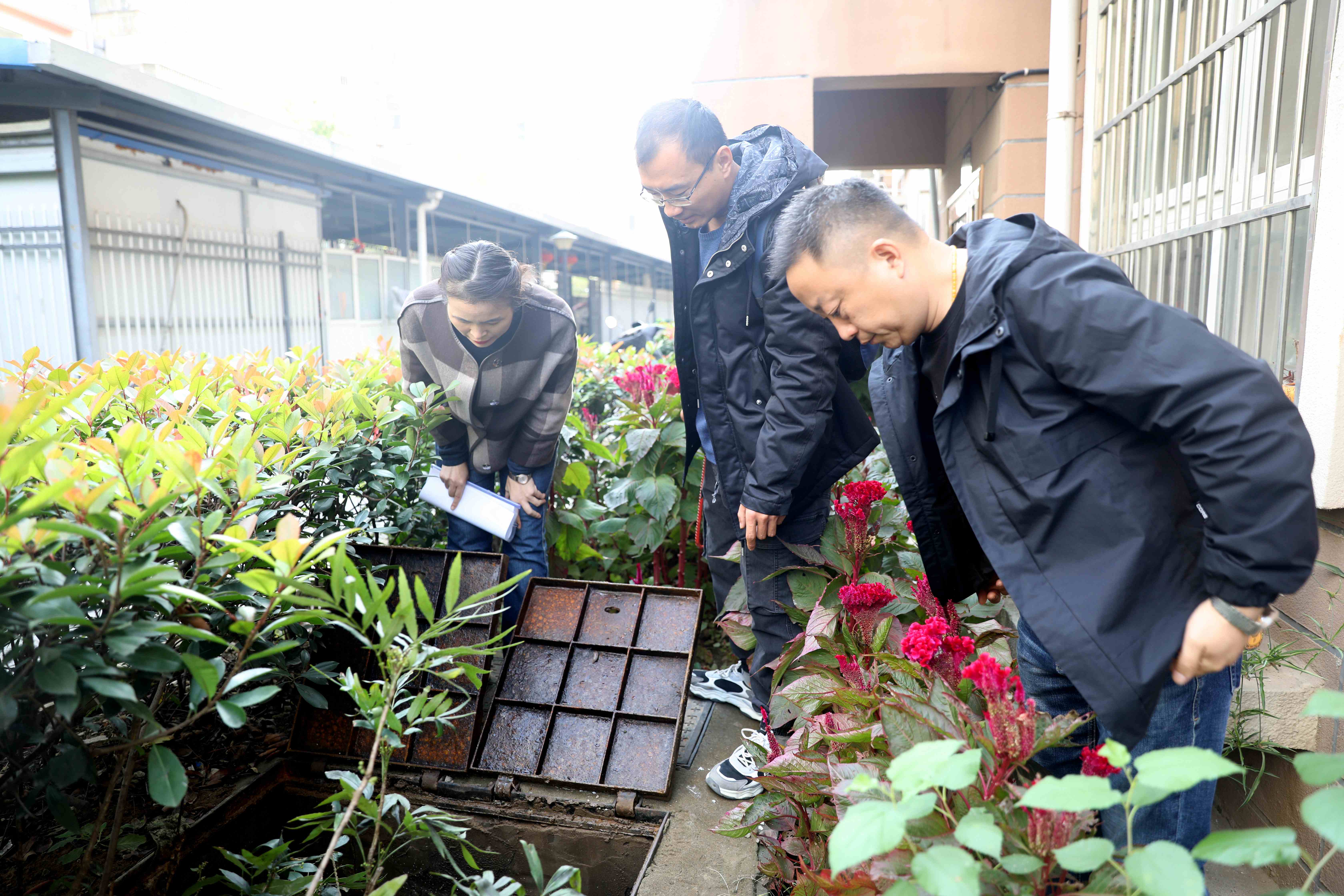 1635842174a281893.jpg 1635842174a281893.jpg