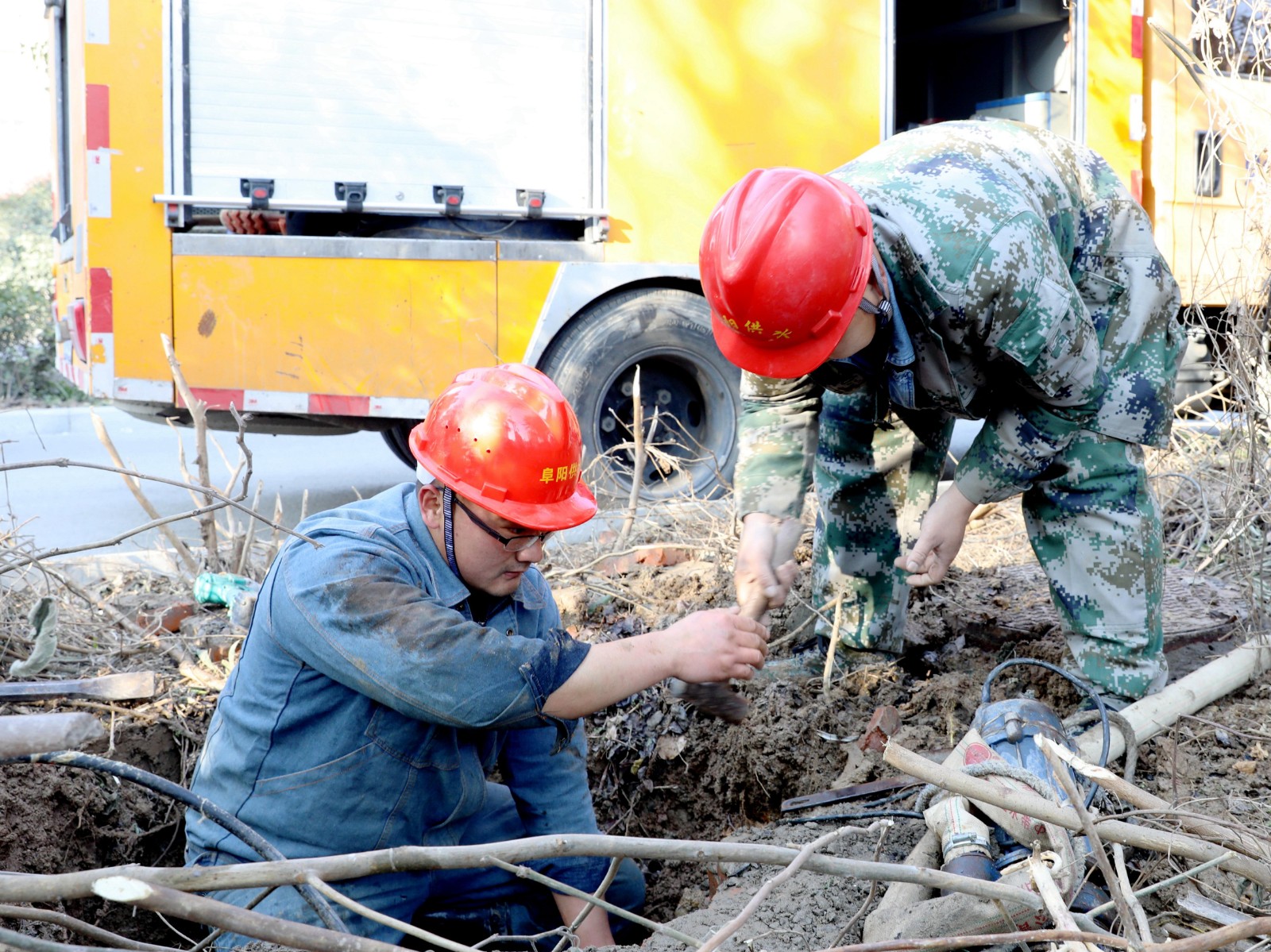 1641022363a895792.jpg 1641022363a895792.jpg