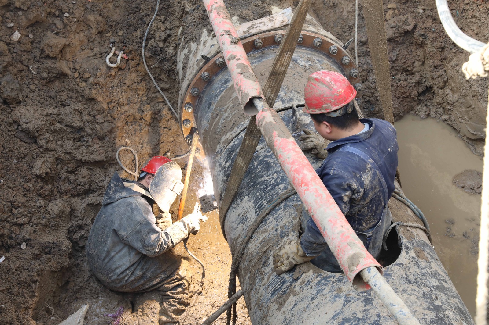 1646293670a501969.jpg 1646293670a501969.jpg