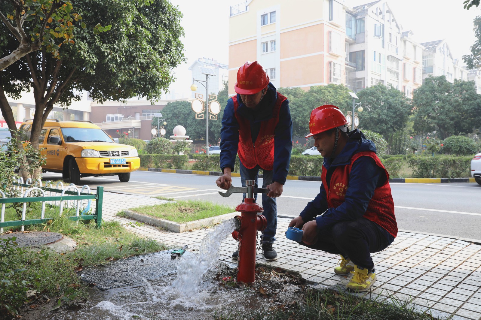 1730453592a484797.jpg 1730453592a484797.jpg