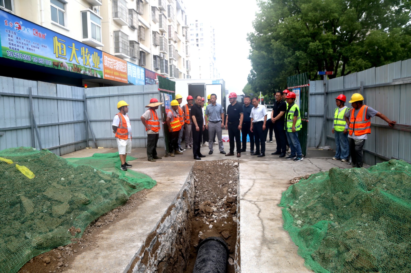 1752741825a533520.jpg 1752741825a533520.jpg