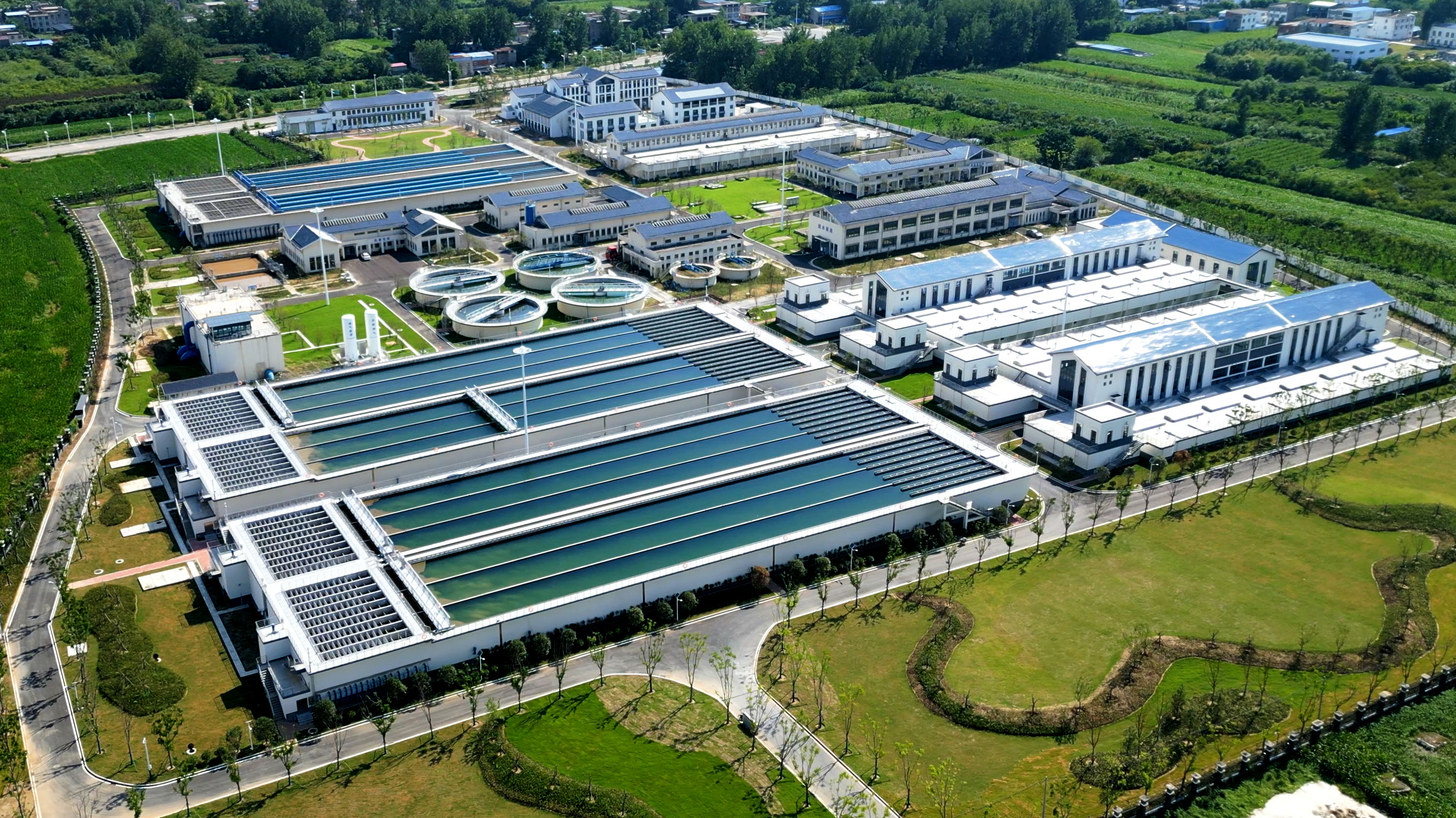 1764125992a569901.jpg 1764125992a569901.jpg