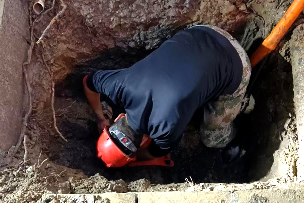 1769052850a114457.jpg 1769052850a114457.jpg